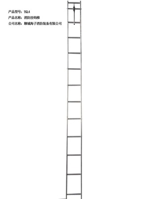 TGL4金属挂钩梯